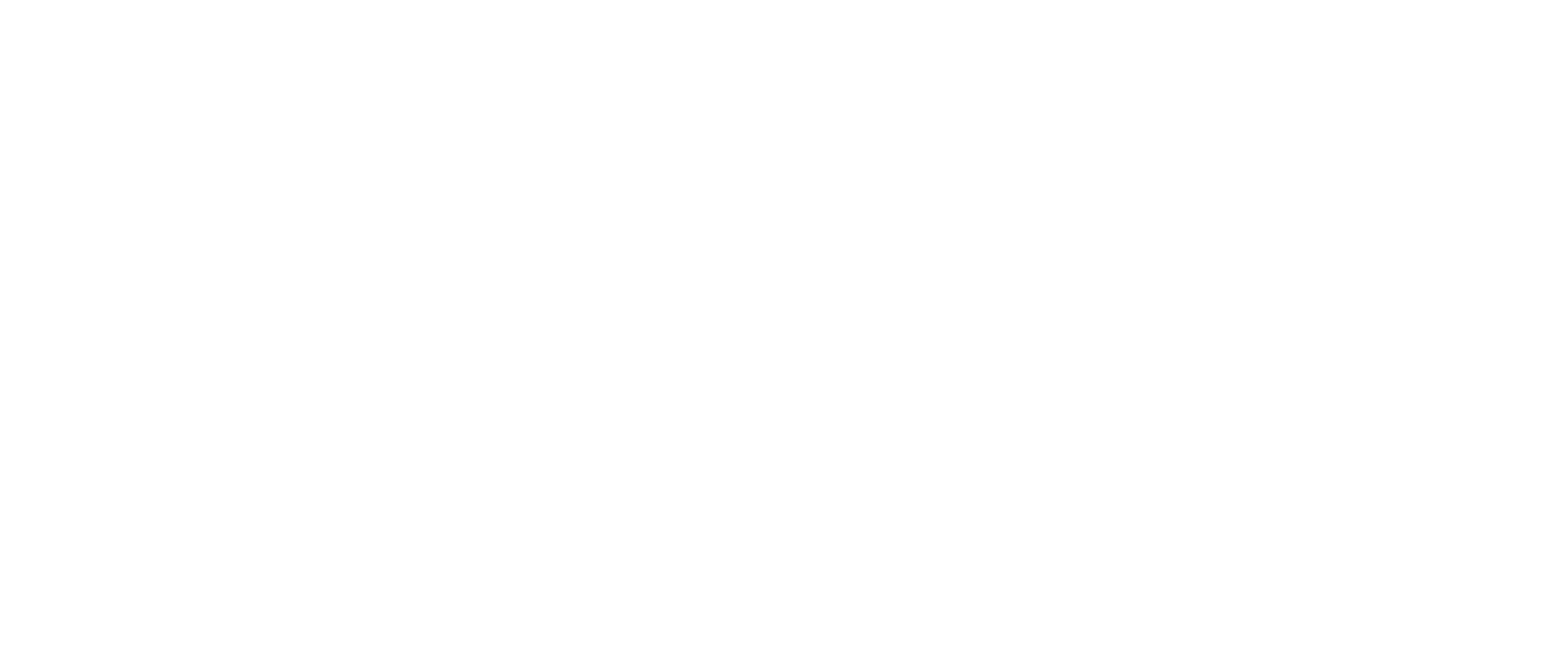 The Aesthetic Institude